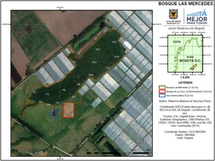 Mapa del rea piloto de investigacin en restauracin ecolgica Bosque Las Mercedes