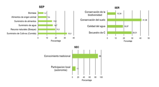 Categoras para los servicios ecosistmicos evaluados en la revisin de publicaciones.
