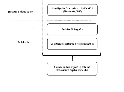 Proceso metodolgico.