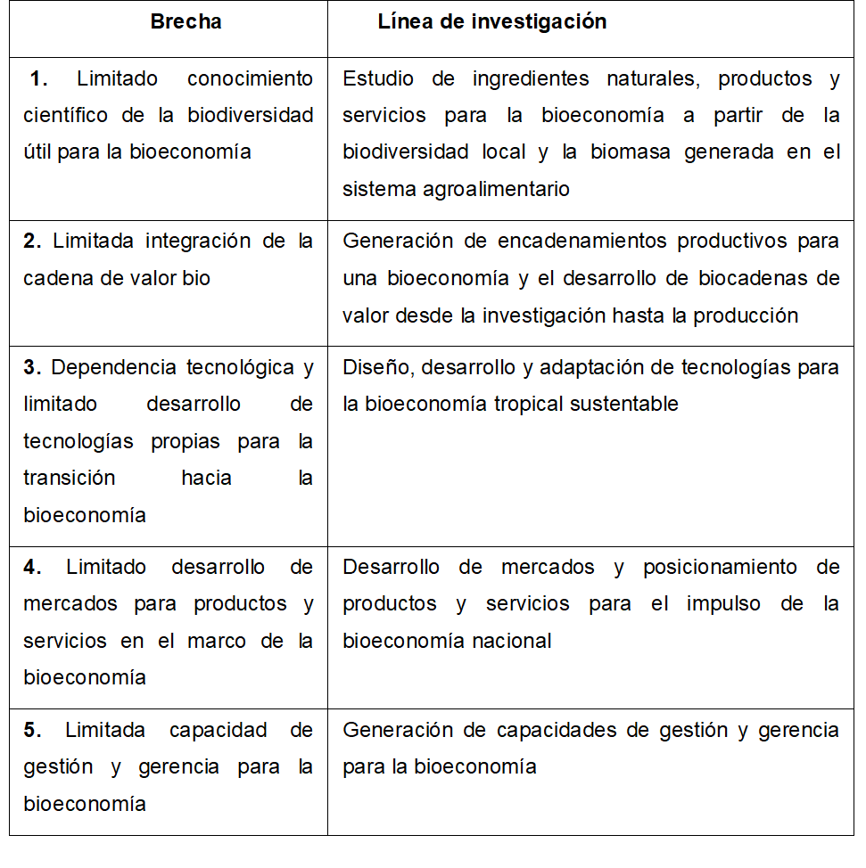Brechas y lneas de investigacin identificadas 