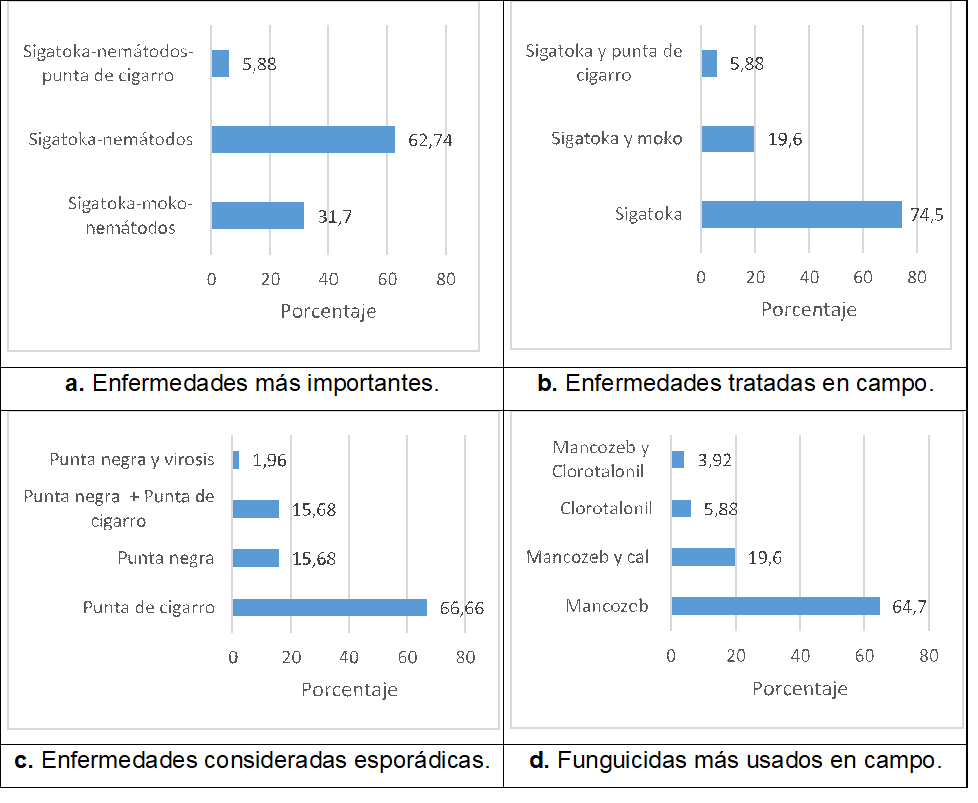 Respuestas de los agricultores sobre la importancia de las enfermedades.