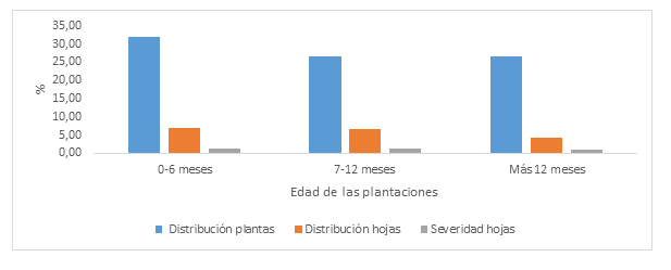 Incidencia y severidad de la mancha por Cordana segn las edades de las plantaciones de pltano Hartn.