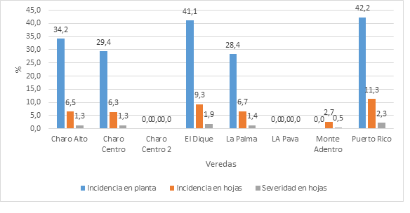 Situacin de la mancha por Cordana en las veredas.