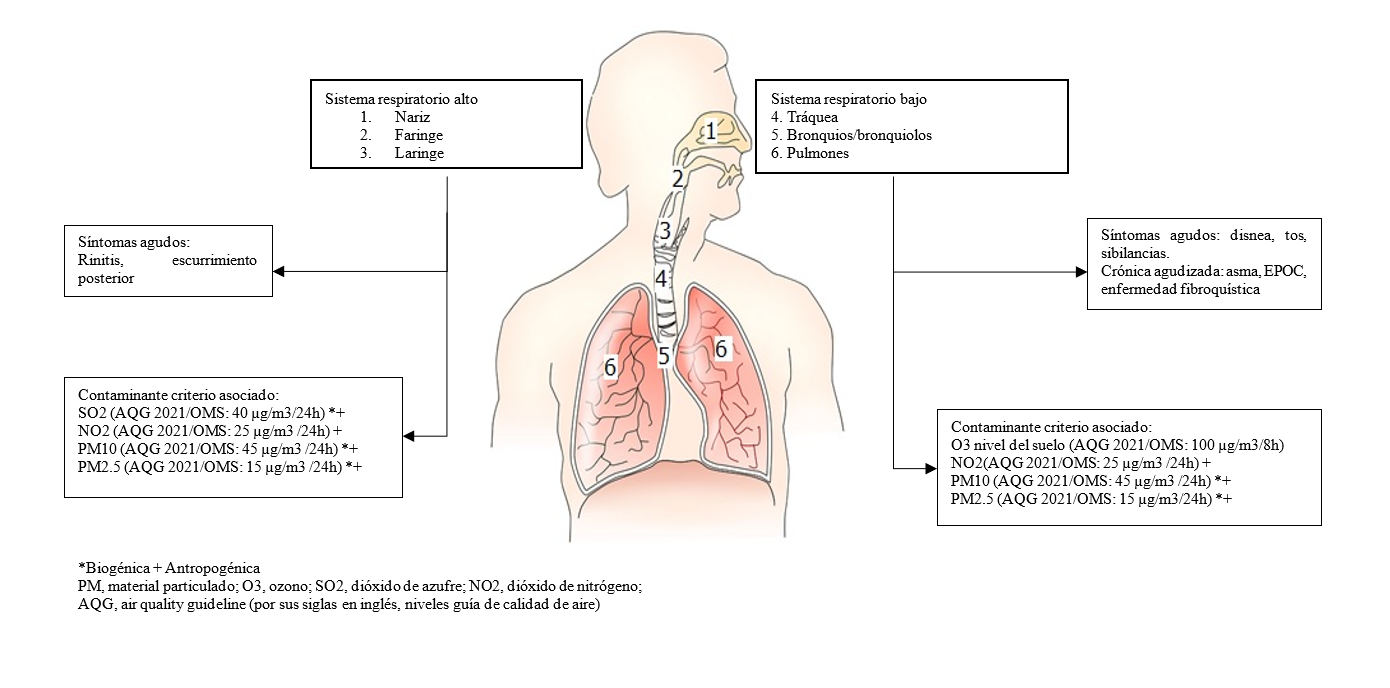 Contaminantes criterio, su origen, nivel normativo y efectos en el tracto respiratorio