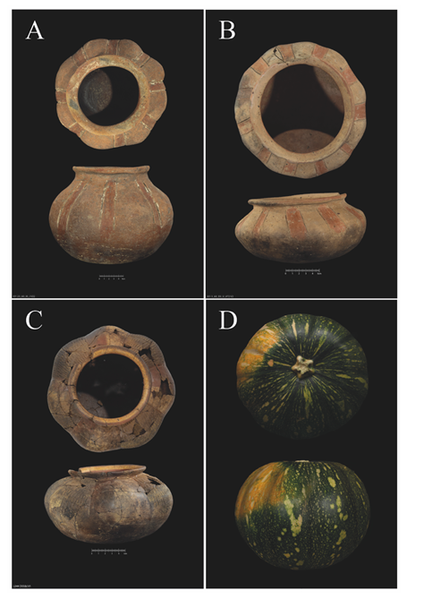 Grupo I: Cucurbita moschata (Cucurbitaceae)