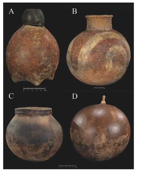 Grupo III: Crescentia cujete (Bignoniaceae)