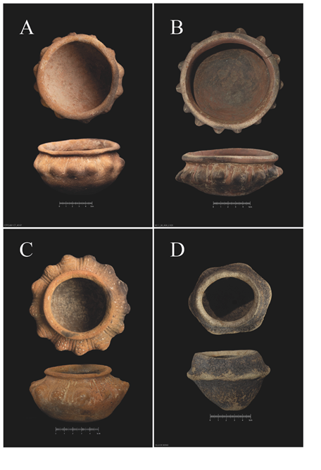 Grupo IV: Lecythis minor (Lecythidaceae)