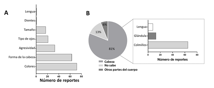 Principales características que señalaron los entrevistados para diferenciar las serpientes venenosas y el lugar anatómico de la serpiente donde se encuentra el veneno