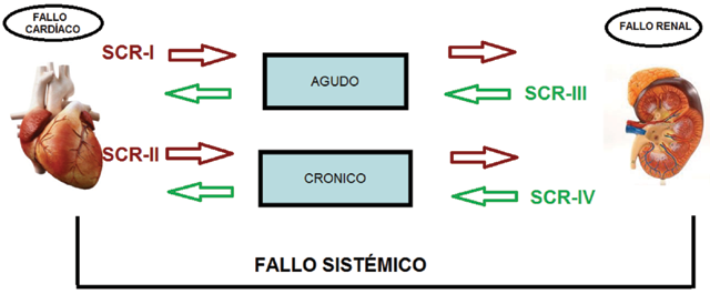 Clasificación del síndrome cardio-renal. Modificado de Ronco et al6.