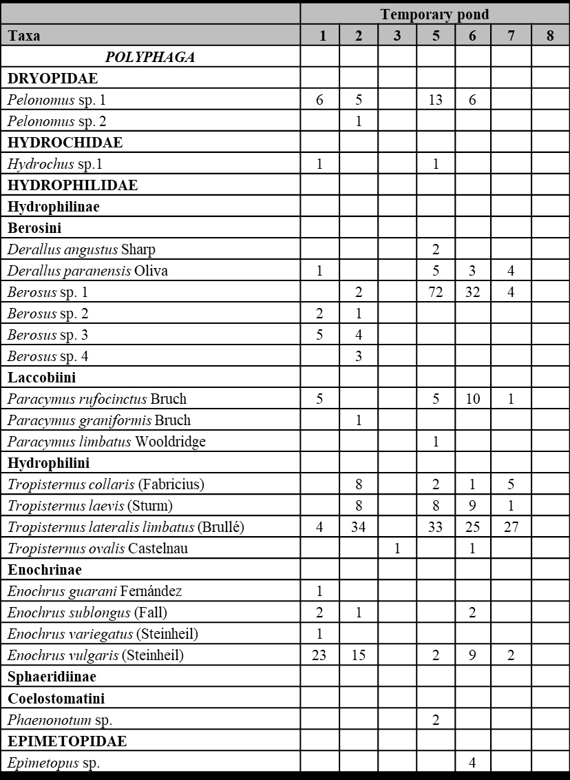 Table
II (cont.). List of aquatic Coleoptera species found in temporary ponds of
Corrientes province, Argentina.