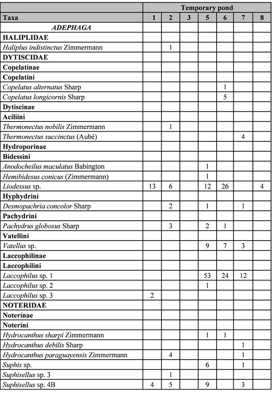 Table
II. List of aquatic Coleoptera species found in temporary ponds of
Corrientes province, Argentina.