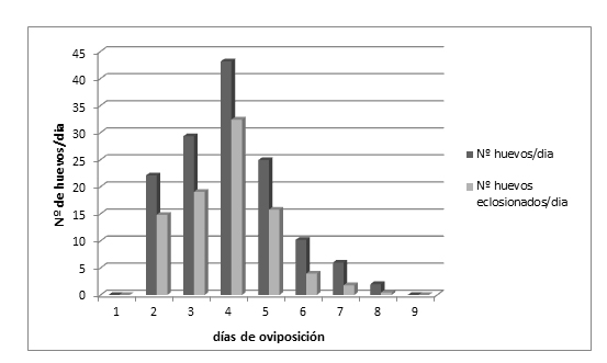 Fig. 2. Fecundidad y fertilidad de
Lobesia botrana en
condiciones de laboratorio: temperatura 25 ± 2 ºC,
luminosidad 16:8 L/O y humedad relativa 30-50%.