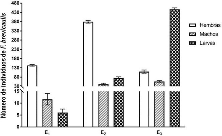 Fig. 4. N&uacute;mero promedio de adultos y
larvas de Frankliniella brevicaulis en cada uno de los estratos  de  ocho
racimos de banano del lote testigo en Laguna Naineck (Formosa) en los ciclos
2010-2011 y 2011-2012.