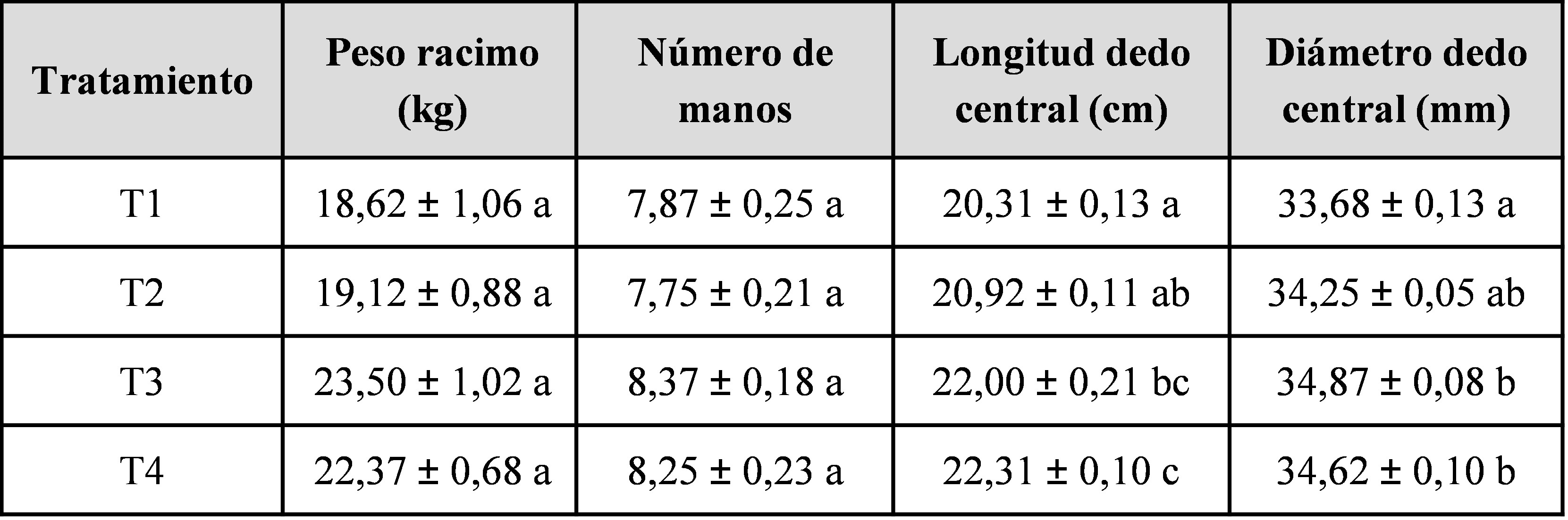 Tabla II. Caracter&iacute;sticas del racimo de banano evaluadas en cada tratamiento en
Laguna Naineck (Formosa, Argentina)  en
el ciclo del cultivo 2010-2011 