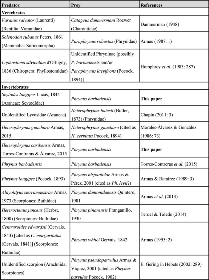Known predators of the amblypygids