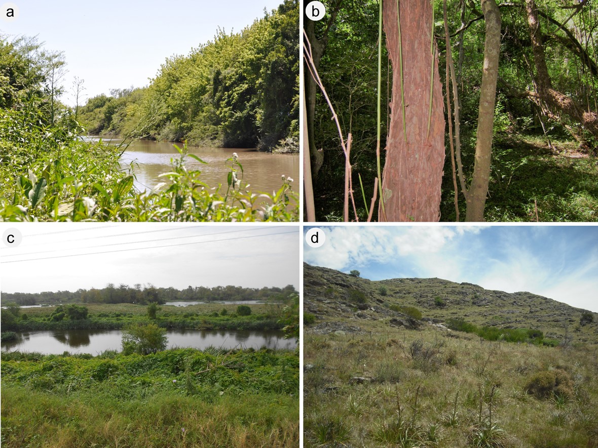 Fig. 2. &Aacute;reas protegidas de mayor riqueza de especies de opiliones