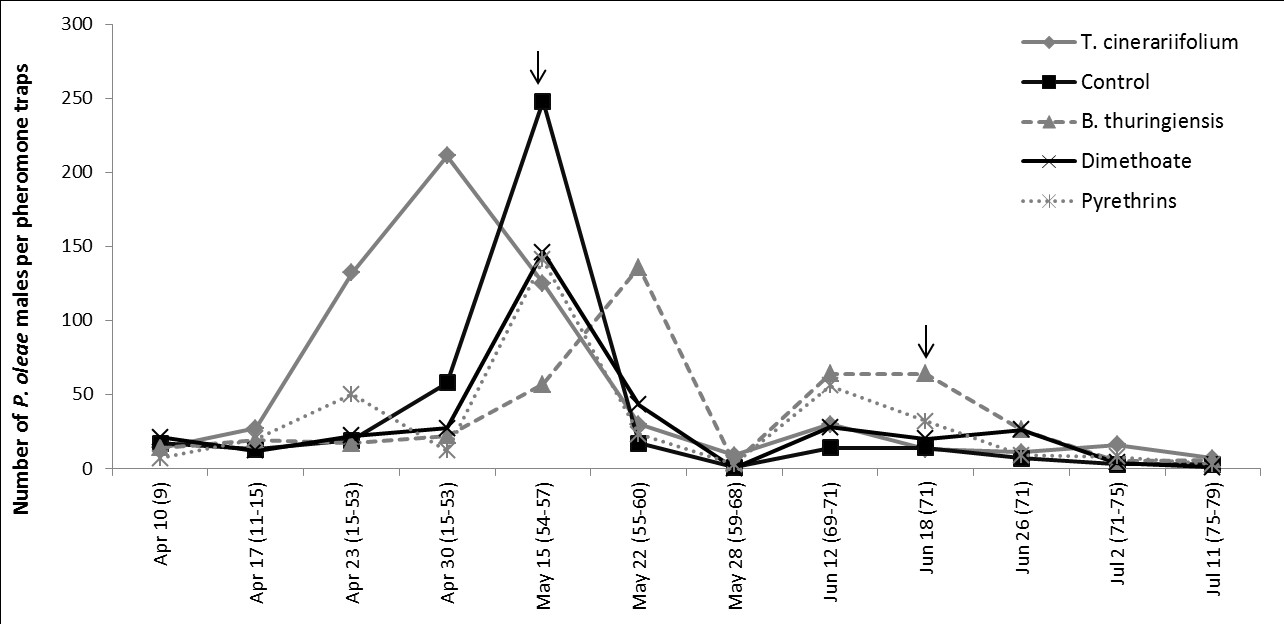 Fig. 2. Fluctuation (flight) of Prays oleae males on pheromone traps between April 10th and July 11th, 2014.
