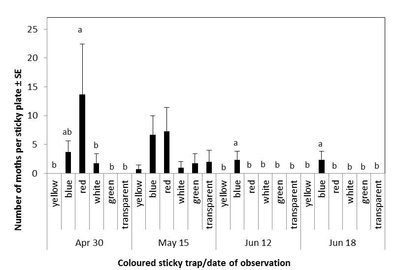 Fig. 3. Mean ± SE capture of Prays oleae males and females on different coloured sticky plates in four of eight monitorings (April 10th to June 26th, 2014).