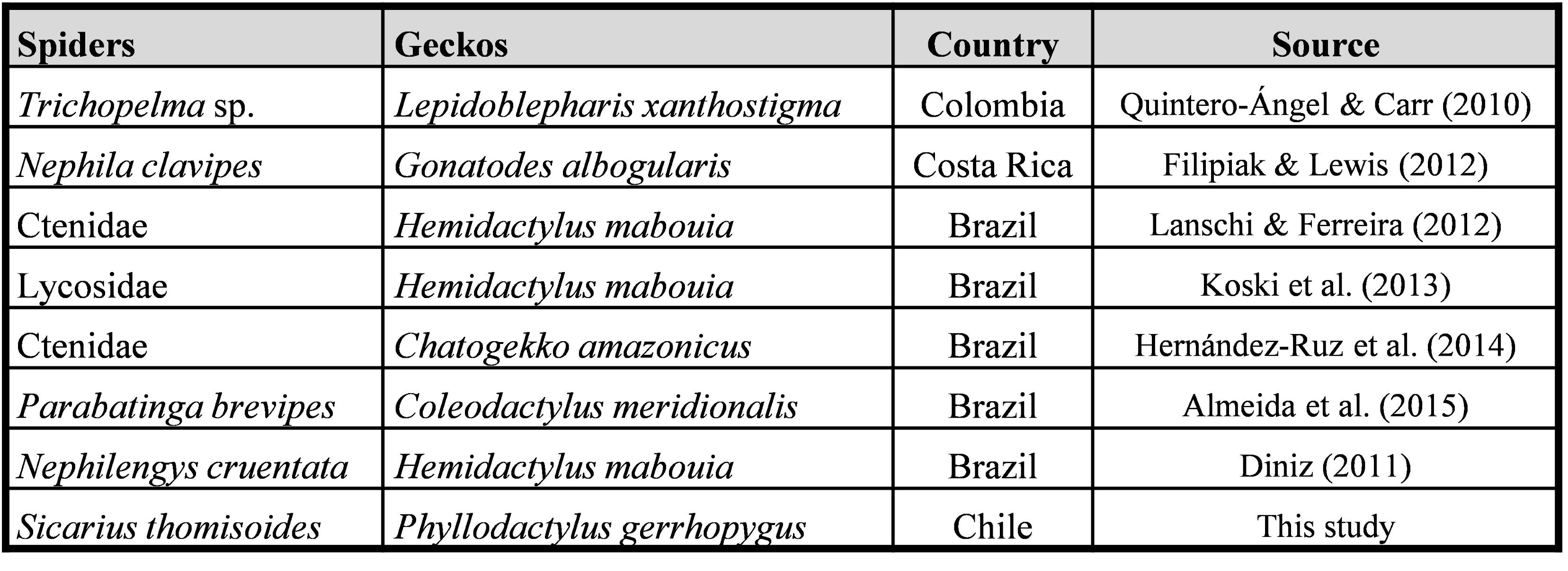 Table I. Studies showing similar predatory interaction between spiders and geckos in the Neotropical region.