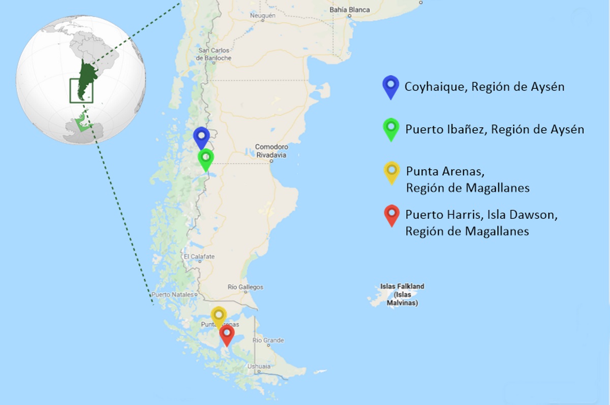Fig. 2. Distribution of Loxosceles laeta in the Chilean Southern Patagonia.