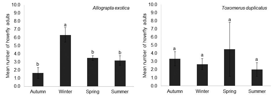 Fig. 5. Mean number of a) Allograpta exotica and b) Toxomerus duplicatus adults throughout the year in the wild vegetation near the lettuce and broccoli crops.