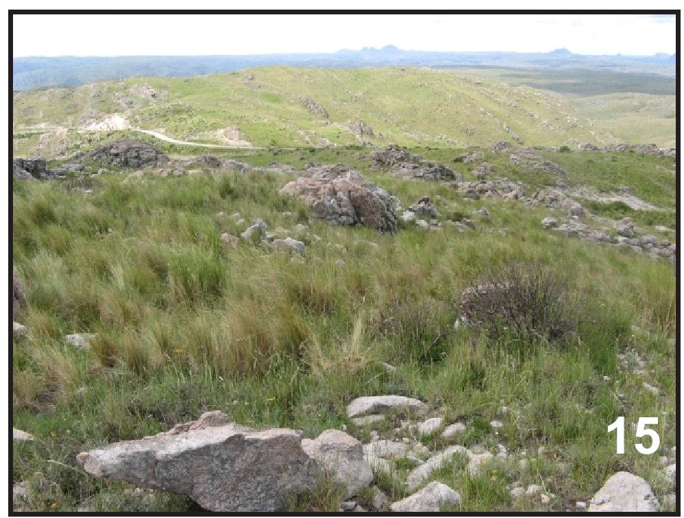 Fig. 15. Ambiente donde Baripus (Baripus) puntano n. sp. fue colectado. Pastizal de altura, Sierra de San Luis, cruce Nogol&iacute;-R&iacute;o Grande, San Luis.