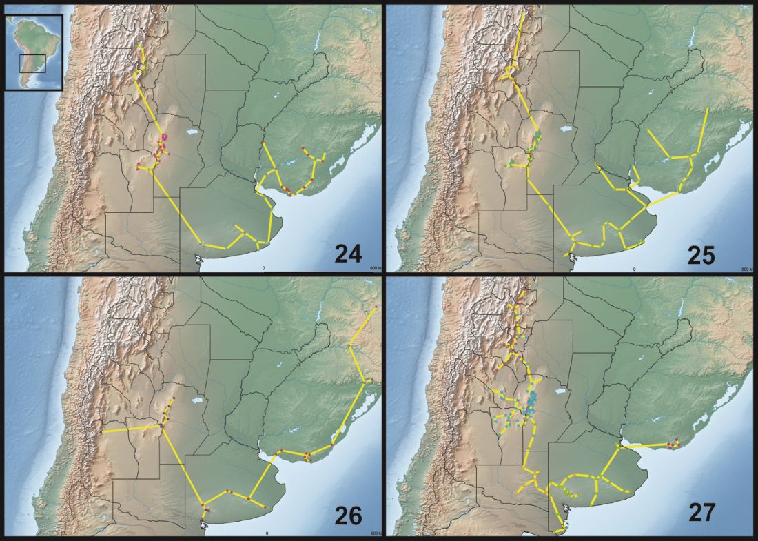 Figs. 24-27. Trazos individuales con las localidades de sus especies (c&iacute;rculos) de: 24, subg&eacute;nero Baripus; 25, grupo striatus de Cnemalobus; 26, Ceratomontia; 27, grupo prospicuus de Bothriurus.