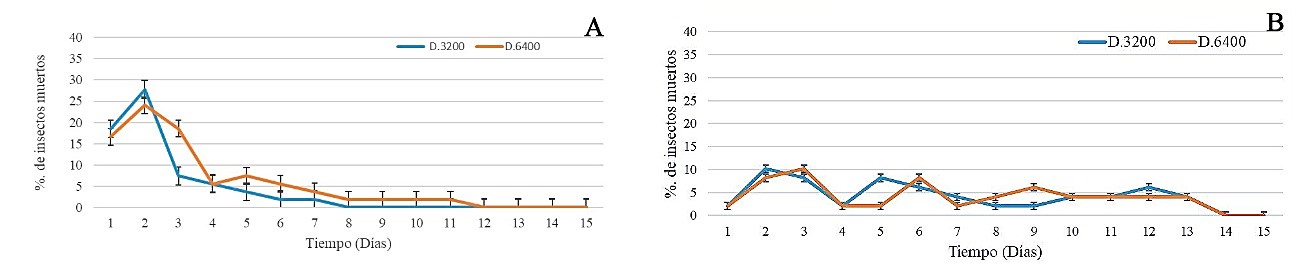 Fig. 1. Mortalidad diaria de Periplaneta americana. A: Steinernema rarum (OLI). B: Steinernema rarum N105.
