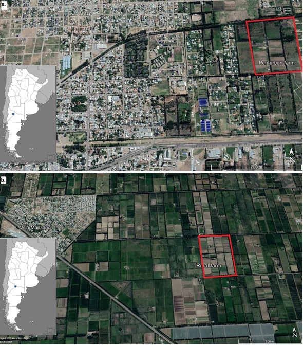 Fig. 1. Location of the horticultural farms studied. a. Peri-urban farm (Plottier, Neuqu&eacute;n). b. Rural farm (Campo Grande, R&iacute;o Negro).