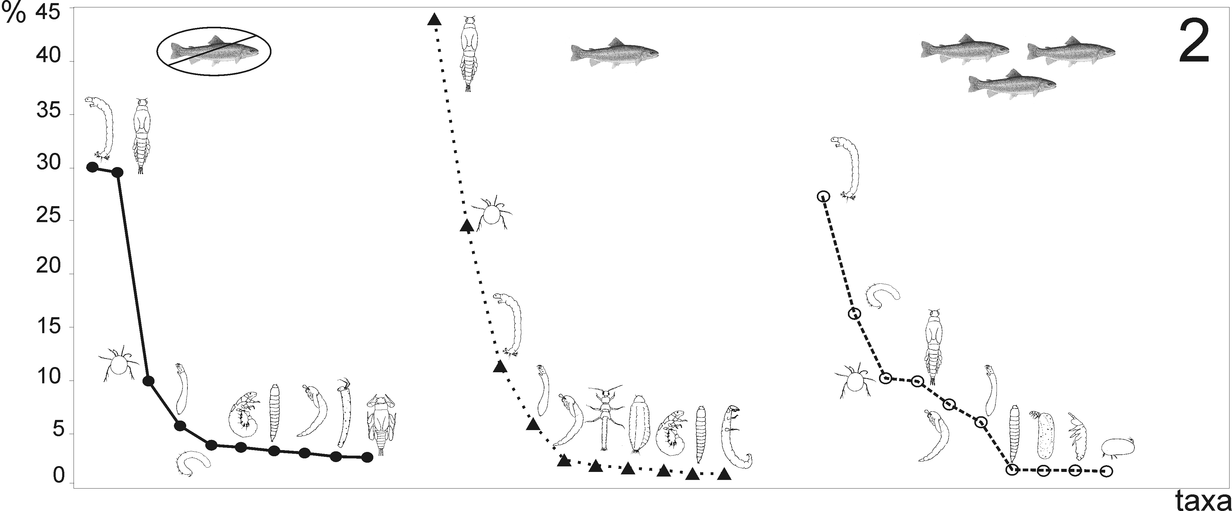 Fig. 2. Rank–abundance curves for the macroinvertebrates in drift from streams without trout (first panel), with low density of trout (second panel), and with trout in high densities (third panel).