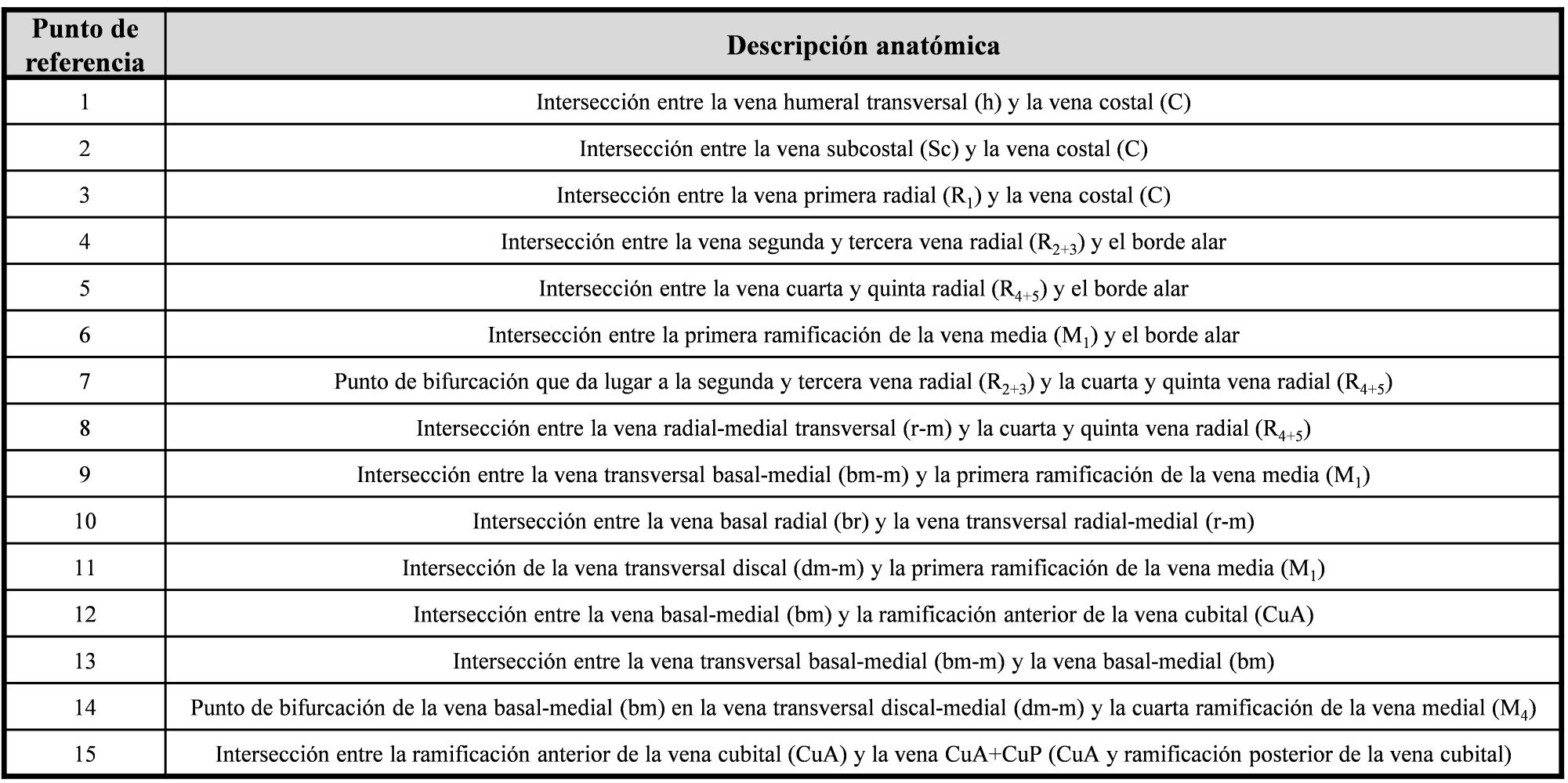 Tabla I. Localizaci&oacute;n anat&oacute;mica de los puntos de referencia utilizados para este estudio siguiendo la nomenclatura propuesta por Cumming & Wood (2009).