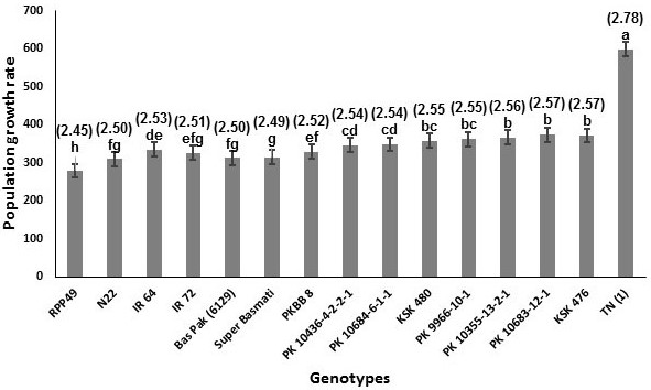 Fig. 3. Population growth rate of S. furcifera in different rice genotypes.