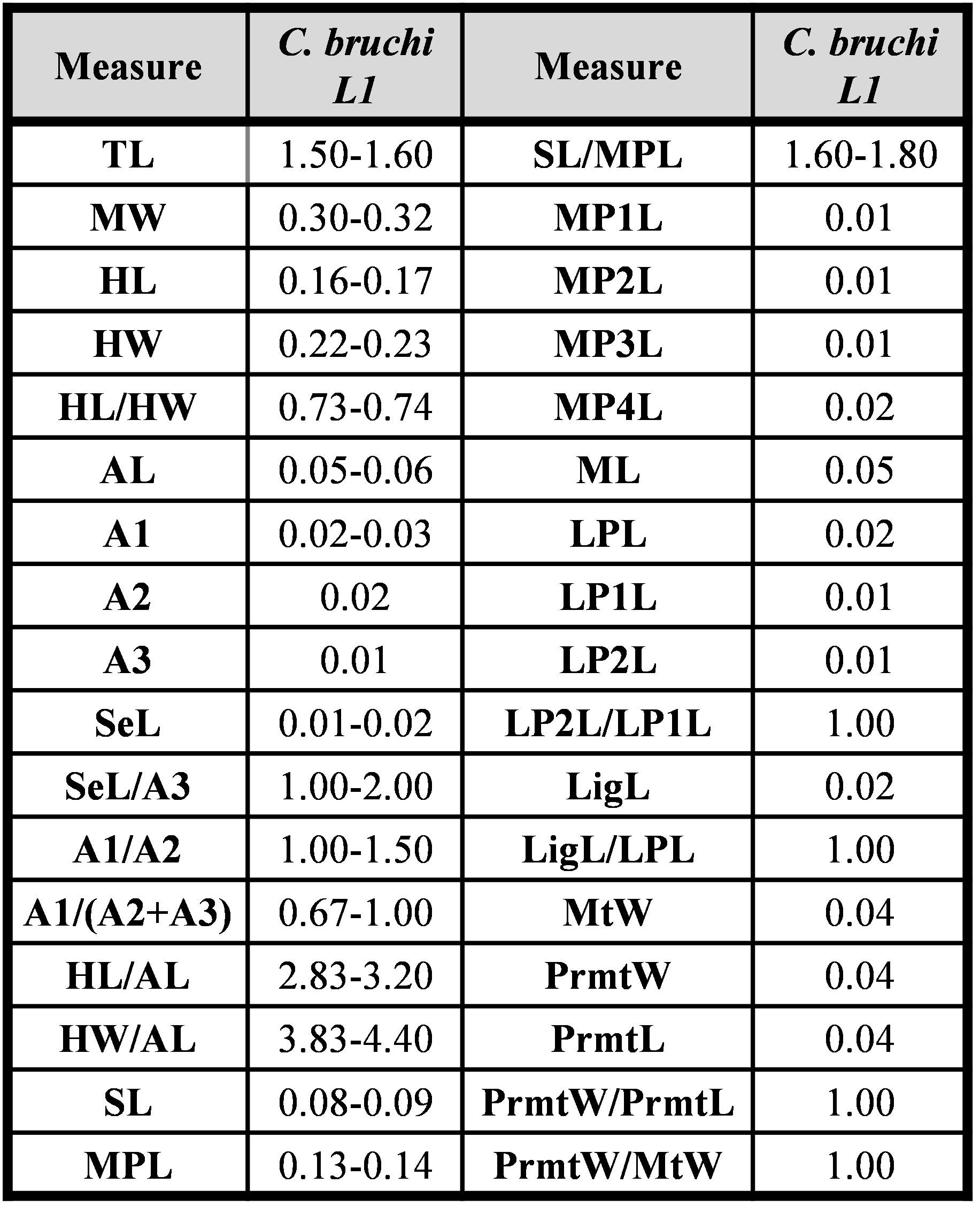 Table I. Measurements (in mm) and ratios for different structures of first instar larvae of Chaetarthria bruchi.