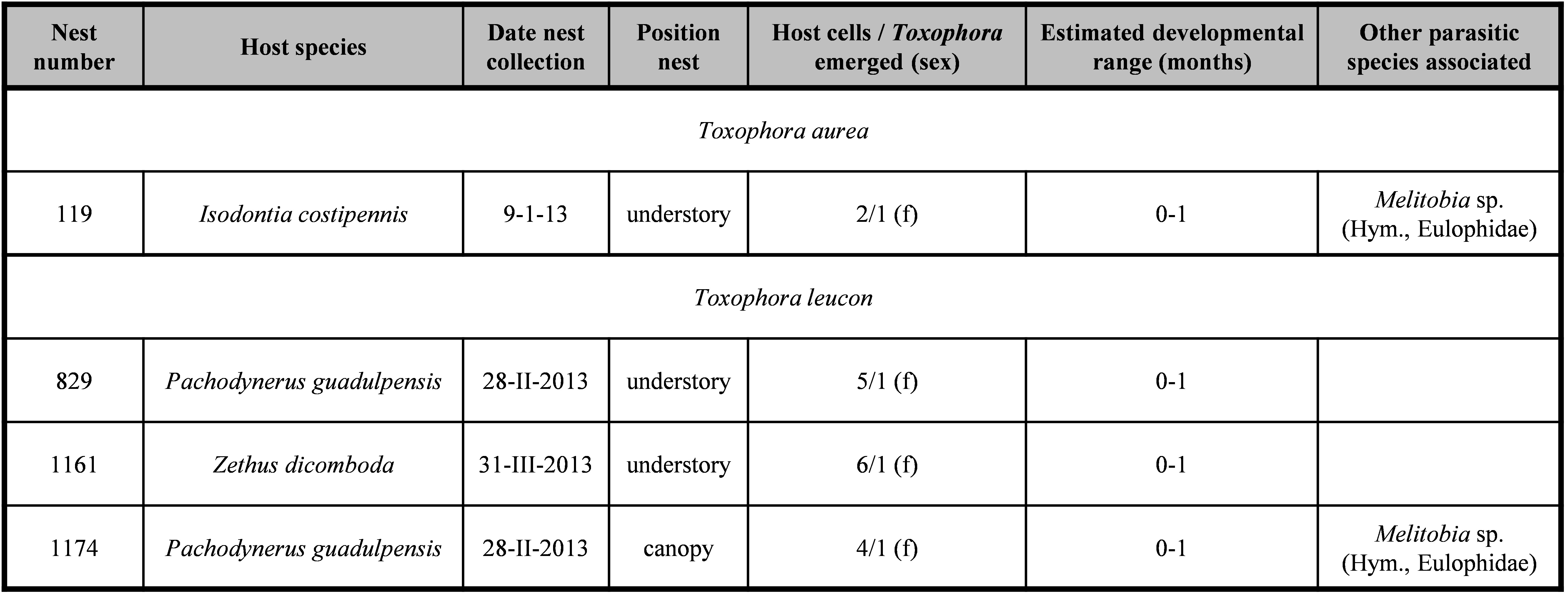 Table I. Species of Toxophora (Bombyliidae, Toxophorinae) rearing from nests of wasps obtained in trap-nests in forests in Reserva El Bagual, Formosa province, northern Argentina.