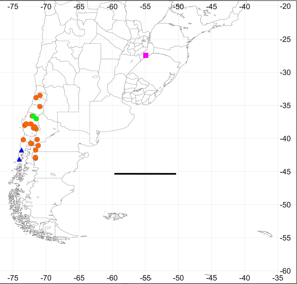 Fig. 7. Distributions. A. Protonephrocerus chiloensis (blue triangle). B. Protonephrocerus flavipilus sp. nov. (orange circle). C. Protonephrocerus misionensis sp. nov. (purple square). D. Protonephrocerus sp. 1988-01 (green circle).