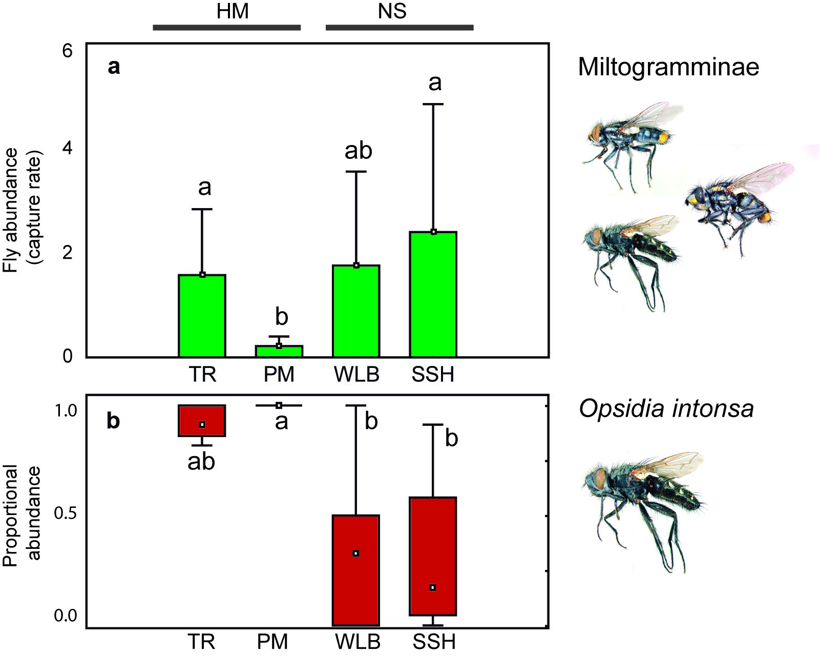 Fig. 3. Comparison of Miltogramminae abundance obtained in four microhabitat types. a. Capture rate for total Miltogramminae. b. Proportional abundance of O. intonsa.