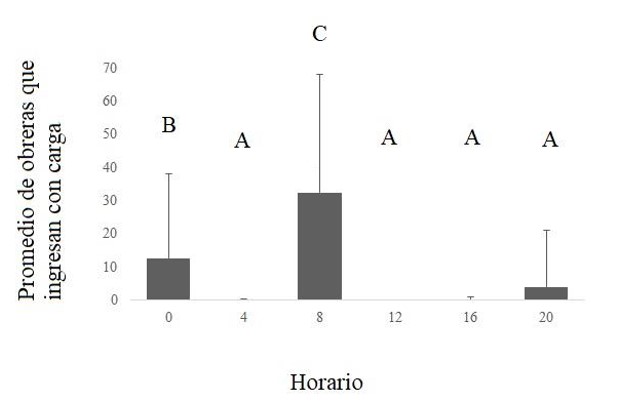 Fig. 3. Cantidad promedio de obreras que ingresan al nido con carga (actividad de forrajeo) durante cinco minutos a lo largo del d�a en las 14 colonias de Acromyrmex lobicornis insertas dentro del vi�edo y fuera de �l, en el monte natural.