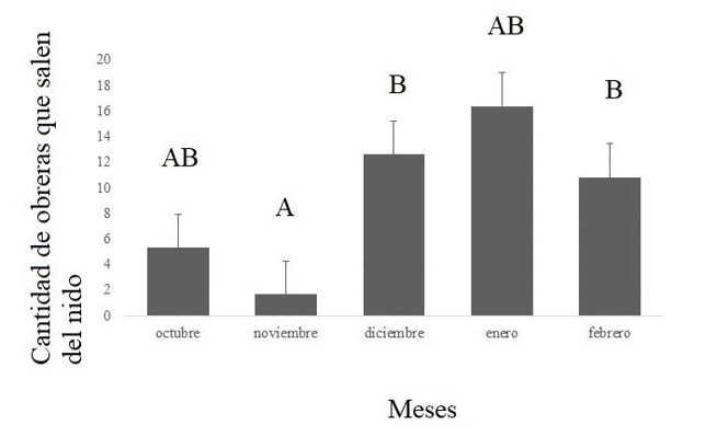 Fig. 8. Cantidad promedio de obreras que salen del nido con carga durante cinco minutos a lo largo de la temporada en estudio en las 14 colonias de A. lobicornis insertas dentro del vi�edo y fuera de �l, en el monte natural.