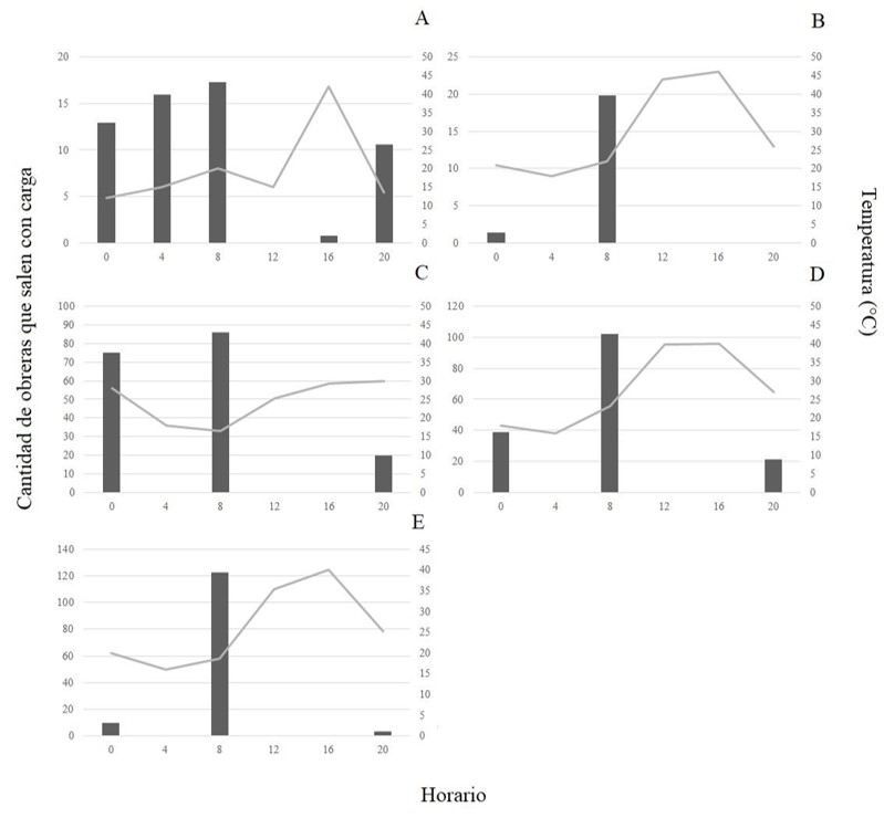 Fig. 5. Cantidad total de obreras que salen del nido (actividad de mantenimiento) con carga durante cinco minutos a lo largo del d�a en los 14 hormigueros estudiados en: A) octubre 2019, B) noviembre 2019, C) diciembre 2019, D) enero 2020 y E) febrero 2020 en las colonias de Acromyrmex lobicornis. Se muestra la temperatura promedio del suelo (l�nea gris).