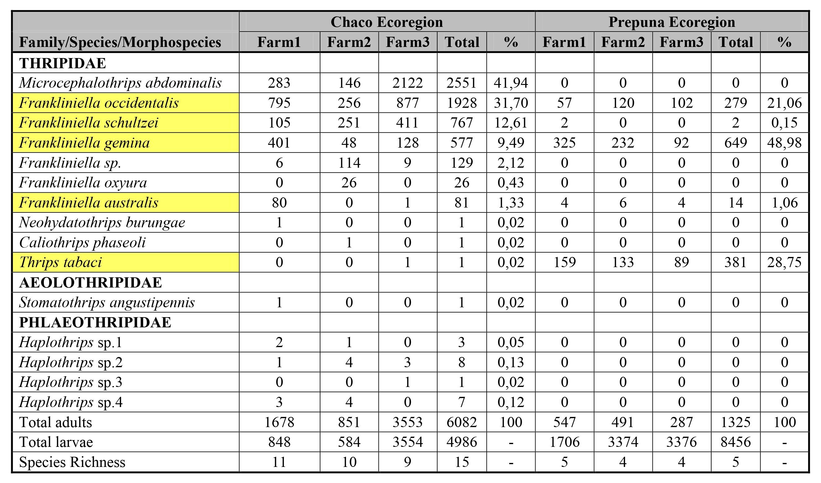 Table I. Distribution of richness and abundance of species of Thysanoptera found in chrysanthemum flowers of the Chaco and Prepuna ecoregion (Jujuy, Argentina) between October and November, 2016; and February and March, 2018, respectively. 