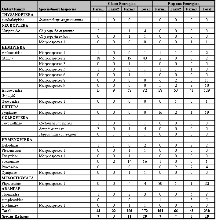 Table II. Distribution of richness and abundance of entomophagous species/morphospecies registered in chrysanthemum flowers of the Chaco and Prepuna ecoregions (Jujuy province, Argentina) between October and November, 2016; and February and March, 2018, respectively.