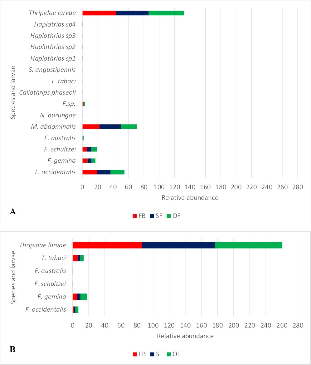 Fig. 2. Abundance of larvae and adult thrips in the different flower opening stages of the Chaco (A) and Prepuna (B) ecoregions of Jujuy province (Argentina)