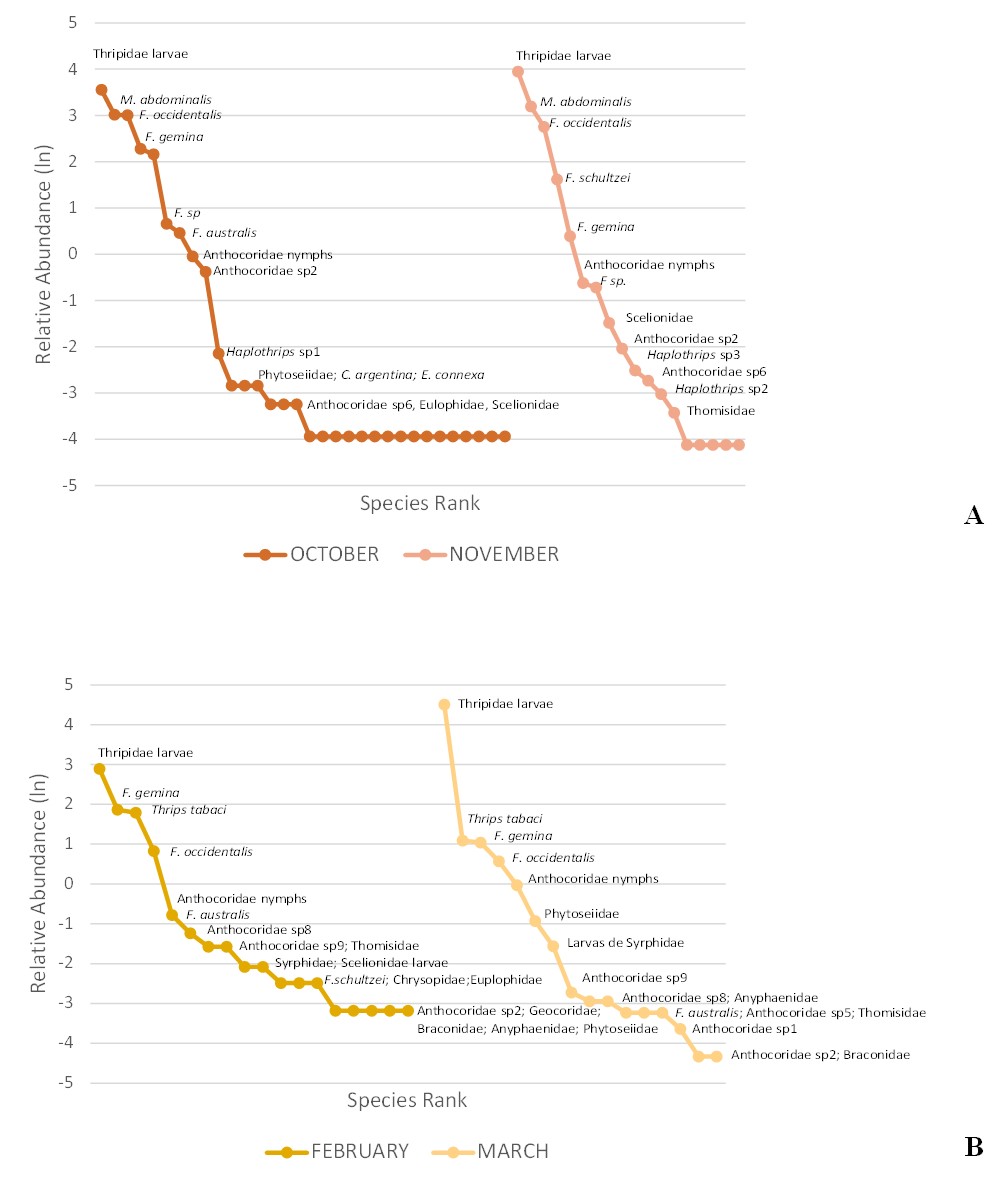 Fig. 4. Rank abundance curves of thrips and entomophagous species by sampling date in A: Chaco ecoregion; B: Prepuna ecoregion.
