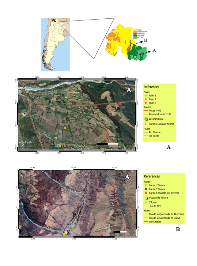 Fig 1. Location of the farms sampled in the Chaco (A) and Prepuna (B) ecoregions of Jujuy province, Argentina.