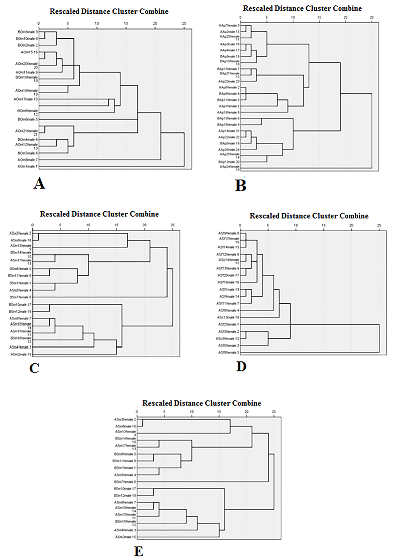 Fig. 3. Hierarchical cluster analysis of the CHC profiles of Oedipoda miniata mauritanica (A), Acrotylus insubricus insubricus (B), Sphingonotus azurescens (C), Sphingonotus finotianus (D), and Sphingoderus carinatus (E).