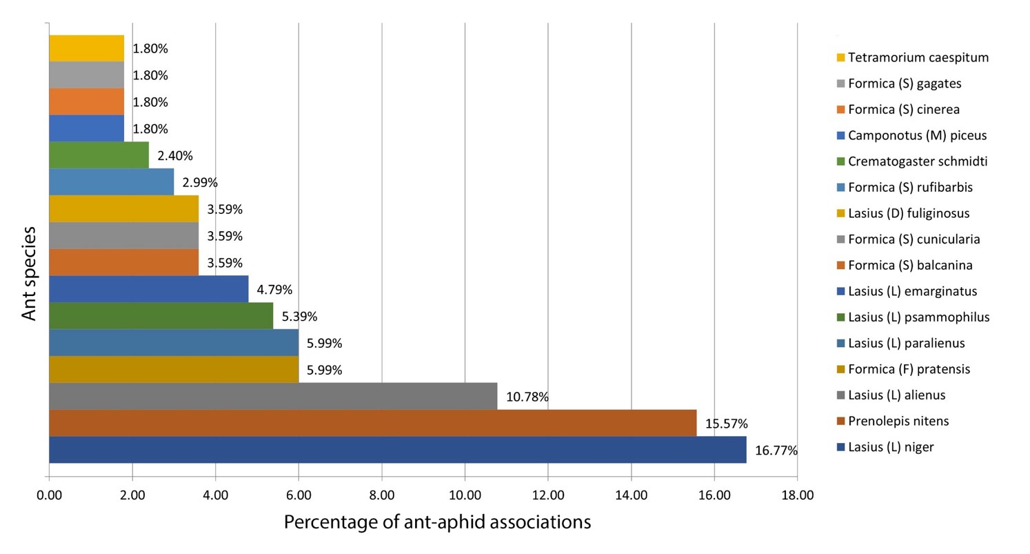 Fig. 2. Percentage of ant-aphid associations in the whole sample. Species forming 1-2 associations. Values less than 1.8% are not presented.