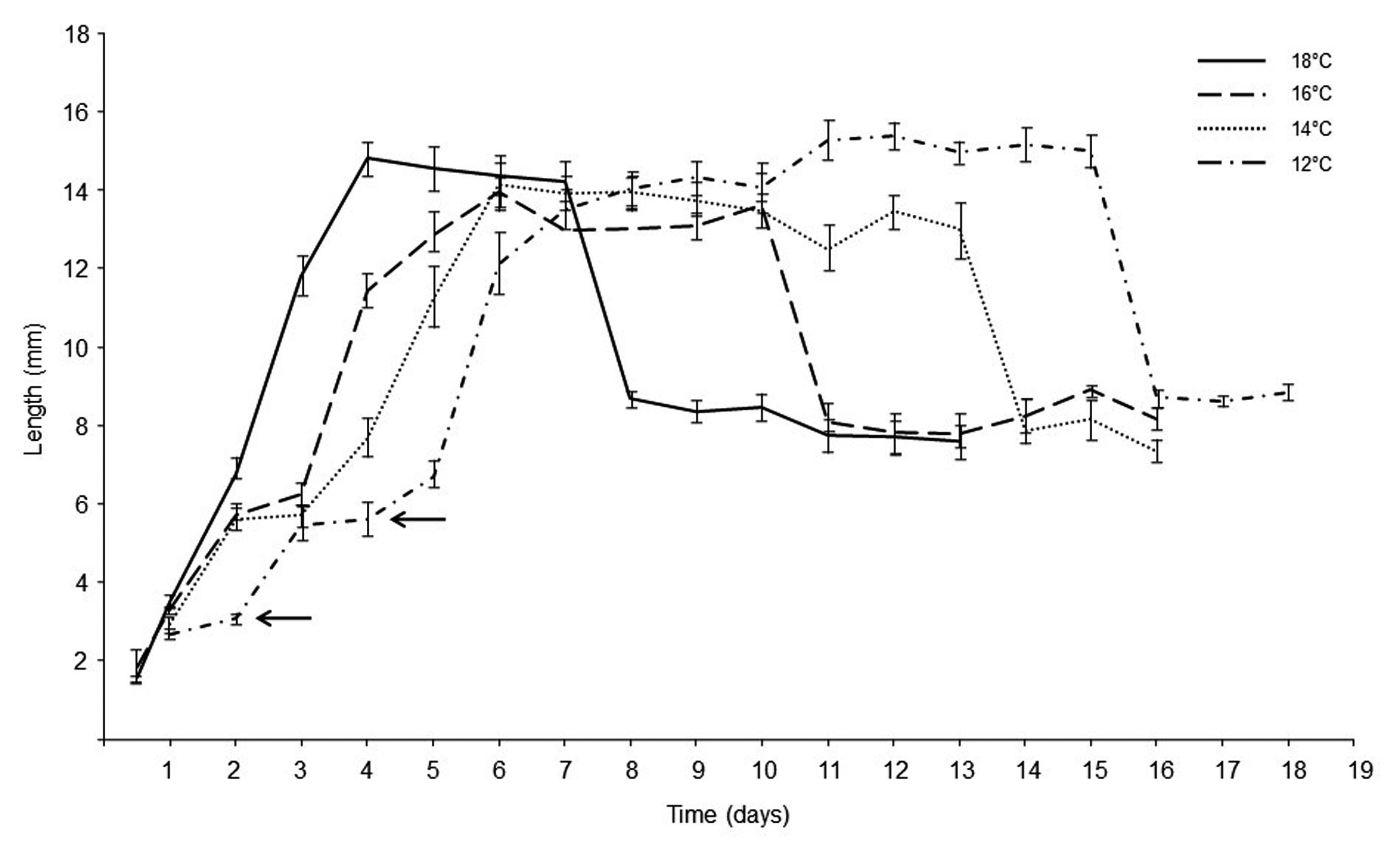 Growth parameters of Calliphora vicina. Growth curves in the length of C. vicina over time from hatching to pupation at different temperature (�C) regimes. Arrows indicate 1st and 2nd moulting.