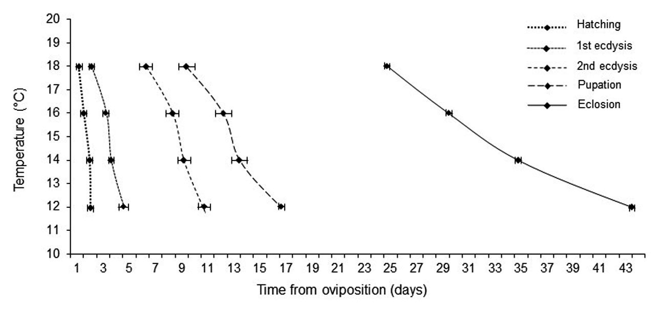 Isomorphen diagram of Calliphora vicina. Developmental time of immature stages to reach a particular developmental event (reference on the graph), at a range of constant temperatures (�C).