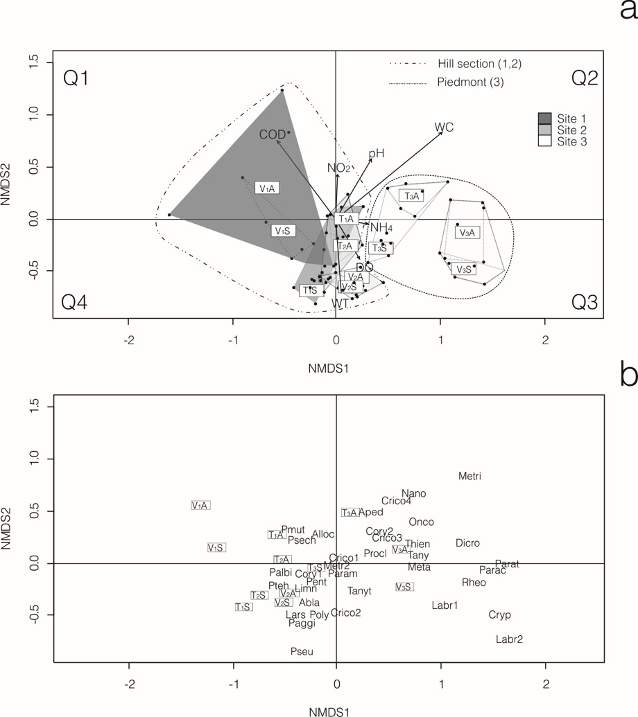 nMDS analysis including all sample sites. a. Triplot showing the results of non Metric Multi-Dimensional Scaling (nMDS). Convex hulls (polygons) for each sample site are included. b. Biplots of sampling sites and species. For taxa acronyms, see Table III.