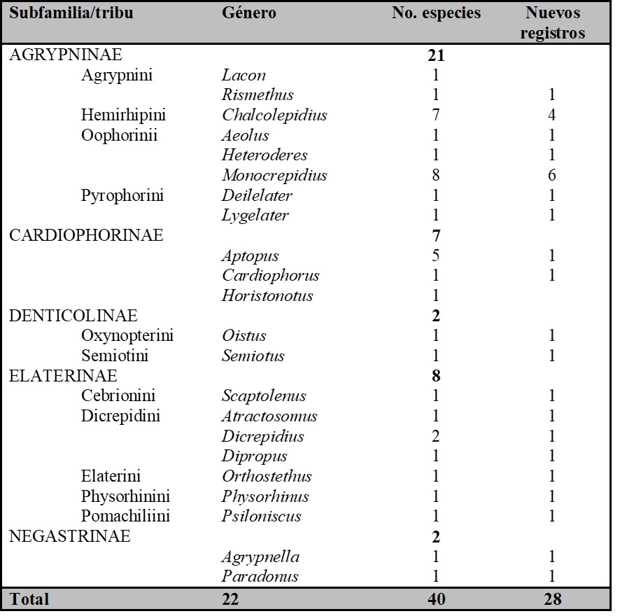 Tribus, g�neros y riqueza de especies ordenadas por subfamilia de Elateridae (Coleoptera) registrados en este trabajo para Michoac�n de Ocampo, M�xico. 